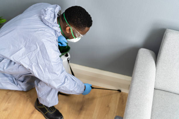 Reliable Franklin Furnace, OH Pest Control Solutions